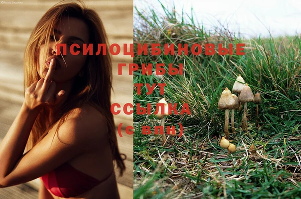 не бодяженный Армянск